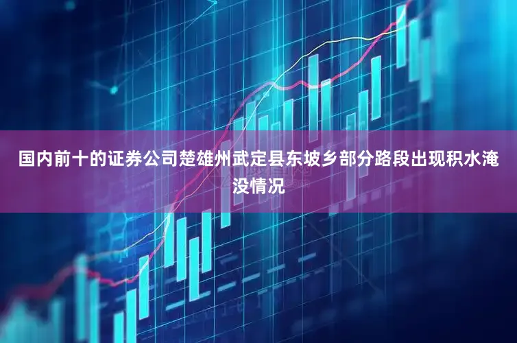 国内前十的证券公司楚雄州武定县东坡乡部分路段出现积水淹没情况